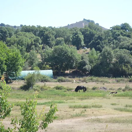 Le Riviera Alata